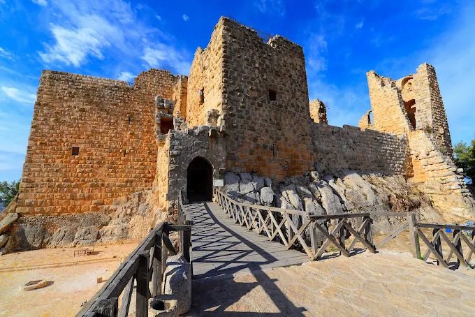 From Amman: Jerash and Ajloun Castle Private Day Tour