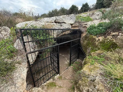 From Amman: Private Day Trip to Jerash, Umm Qais and Jesus’ Cave