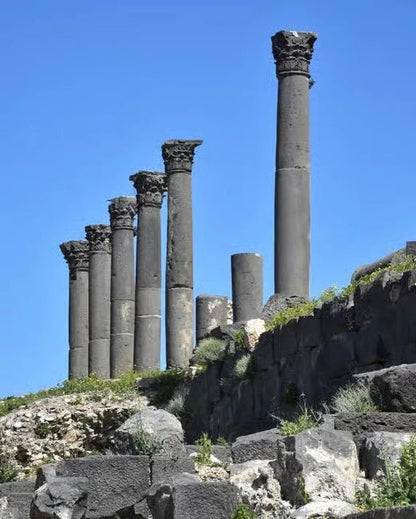 From Amman: Private Tour to Jerash, Ajloun Castle, and Umm Qais