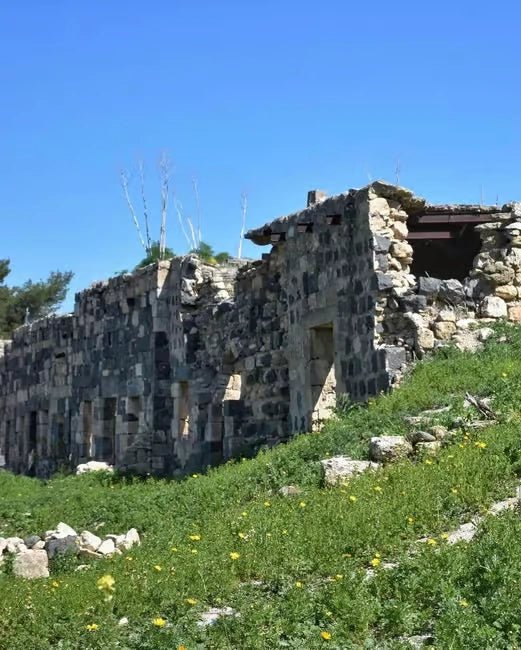 From Amman: Private Tour to Jerash, Ajloun Castle, and Umm Qais