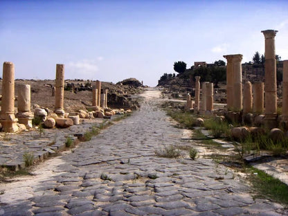 From Amman: Private Tour to Jerash, Ajloun Castle, and Umm Qais