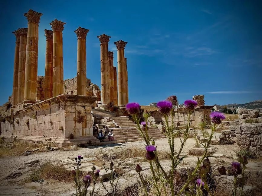 From Amman: Private Tour to Jerash, Ajloun Castle, and Umm Qais