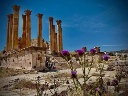 From Amman: Private Tour to Jerash, Ajloun Castle, and Umm Qais