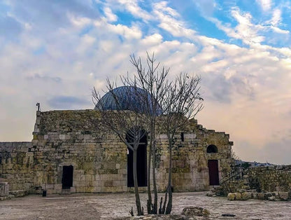 From Amman: Private Tour to Jerash, Ajloun Castle, and Umm Qais