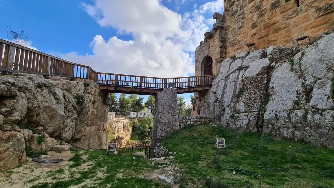 From Amman: Private Tour to Jerash, Ajloun Castle, and Umm Qais