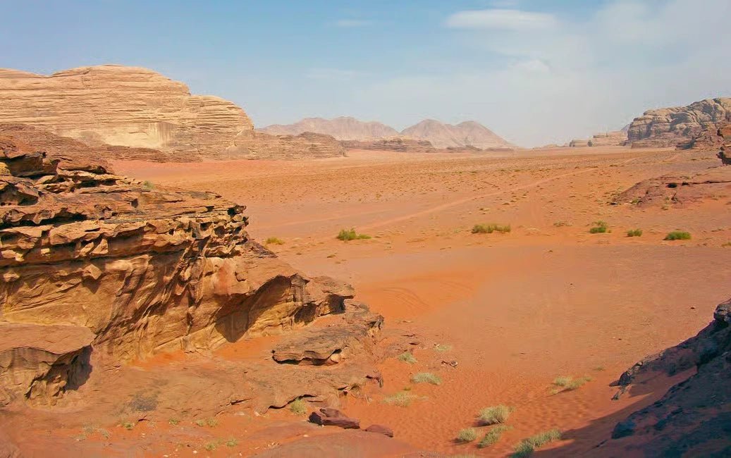 From Amman: Private Wadi Rum 4x4 Desert Safari with Lunch
