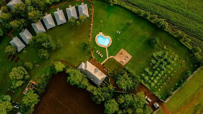 From Arusha: 2 - Days Big 5 Private Safari to Tarangire and Ngorongoro Crater