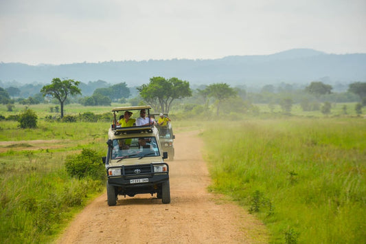 From Arusha: 2 - Days Big 5 Private Safari to Tarangire and Ngorongoro Crater