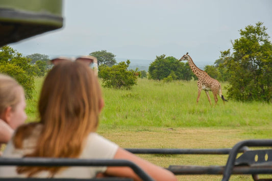 From Arusha: 3 - Days Safari to Serengeti National Park and Ngorongoro Crater
