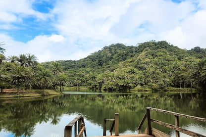 From Arusha: 5 - Day Private Safari to Tarangire, Serengeti, Ngorongoro and Lake Manyara