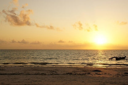 From Arusha: 5 - Day Private Safari to Tarangire, Serengeti, Ngorongoro and Lake Manyara