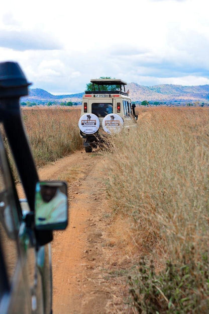 From Arusha: 5 - Day Private Safari to Tarangire, Serengeti, Ngorongoro and Lake Manyara