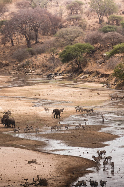 From Arusha: 5 - Day Private Safari to Tarangire, Serengeti, Ngorongoro and Lake Manyara