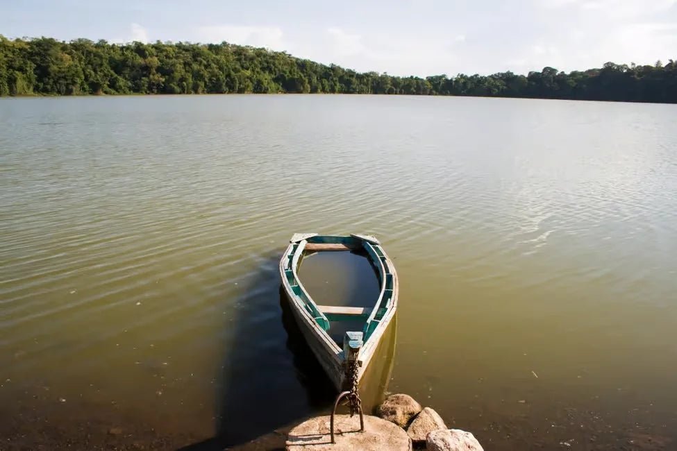 From Arusha: Lake Duluti Canoeing Tour with Pickup and Packed Lunch