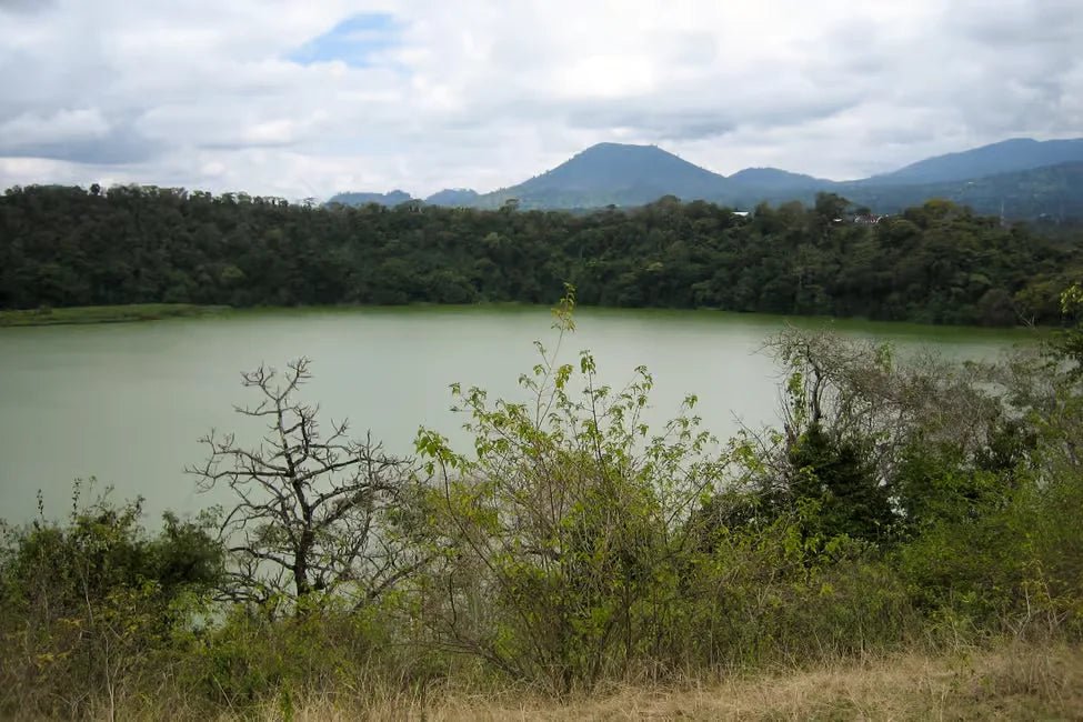 From Arusha: Lake Duluti Canoeing Tour with Pickup and Packed Lunch