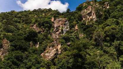 From Arusha: Lake Manyara National Park Full - Day Safari Day Trip