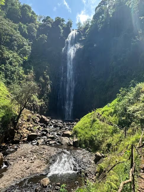 From Arusha or Moshi: Materuni Waterfall, Coffee Farm and Chemka Hot Springs Day Tour