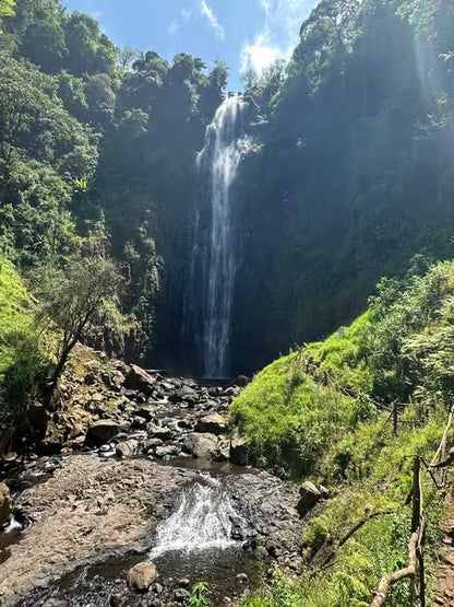 From Arusha or Moshi: Materuni Waterfall, Coffee Farm and Chemka Hot Springs Day Tour