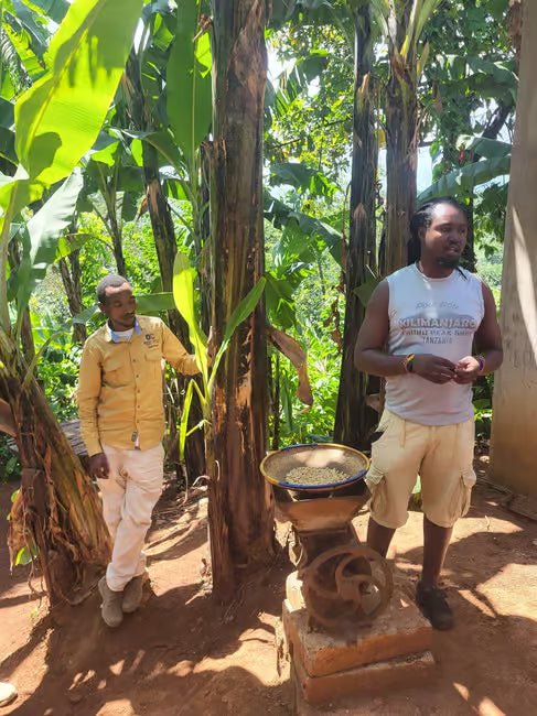 From Arusha or Moshi: Materuni Waterfall, Coffee Farm and Chemka Hot Springs Day Tour