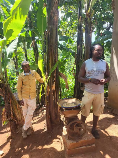 From Arusha or Moshi: Materuni Waterfall, Coffee Farm and Chemka Hot Springs Day Tour