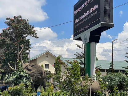 From Arusha or Moshi: Materuni Waterfall, Coffee Farm and Chemka Hot Springs Day Tour