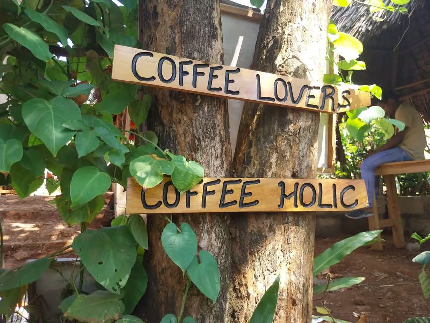 From Arusha or Moshi: Materuni Waterfall, Coffee Farm and Chemka Hot Springs Day Tour