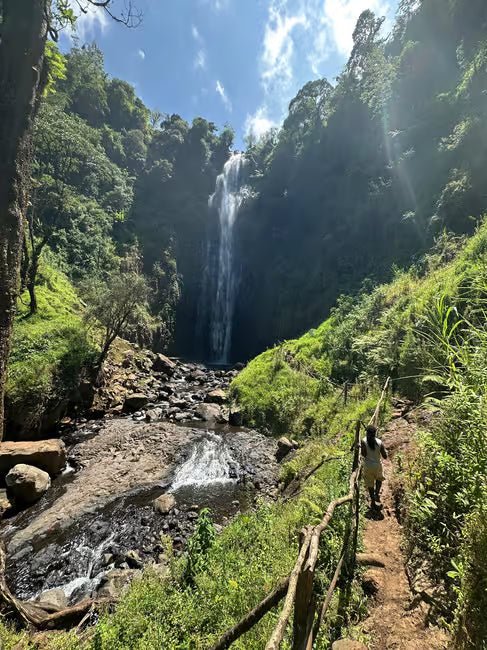 From Arusha or Moshi: Materuni Waterfall, Coffee Farm and Chemka Hot Springs Day Tour