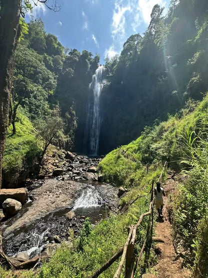 From Arusha or Moshi: Materuni Waterfall, Coffee Farm and Chemka Hot Springs Day Tour