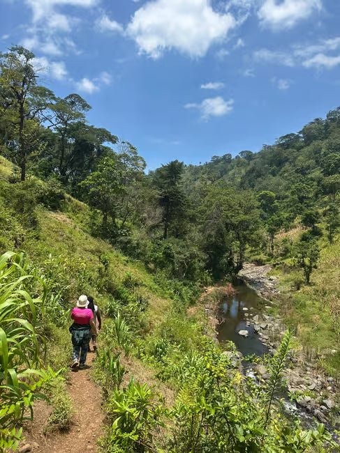 From Arusha or Moshi: Materuni Waterfall, Coffee Farm and Chemka Hot Springs Day Tour