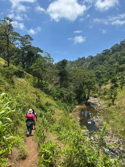 From Arusha or Moshi: Materuni Waterfall, Coffee Farm and Chemka Hot Springs Day Tour