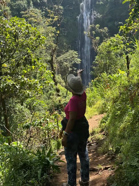 From Arusha or Moshi: Materuni Waterfall, Coffee Farm and Chemka Hot Springs Day Tour