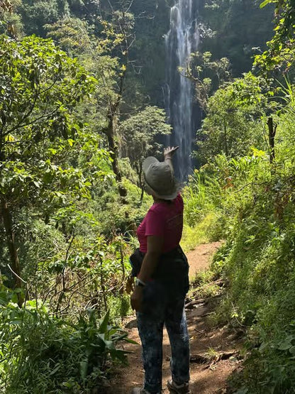 From Arusha or Moshi: Materuni Waterfall, Coffee Farm and Chemka Hot Springs Day Tour