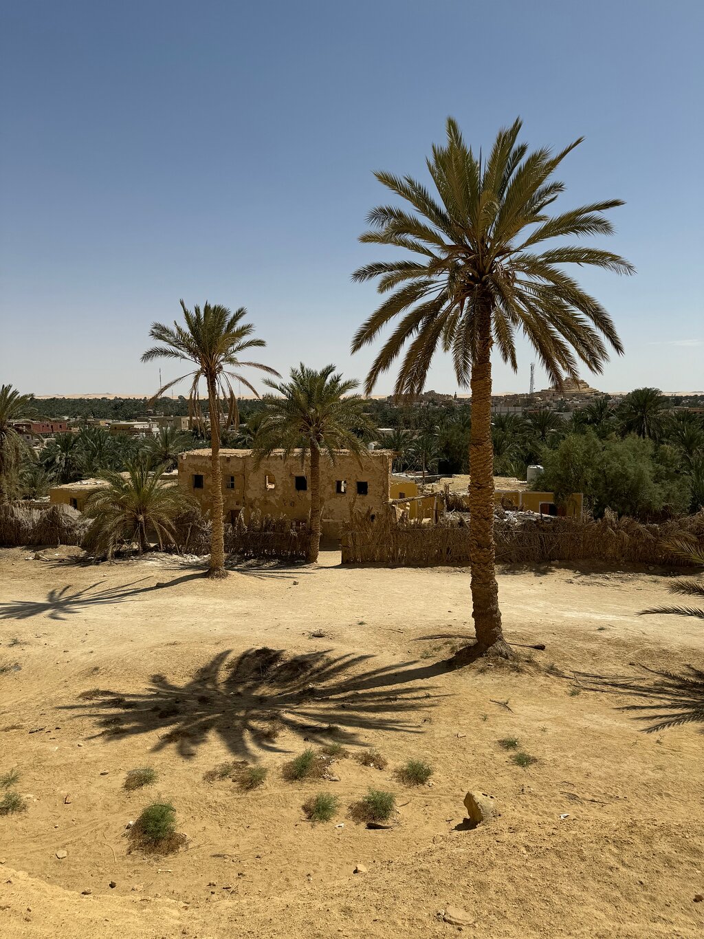 From Cairo: Private 4 - Day Siwa Oasis Trip with Hot Springs and Desert Safari