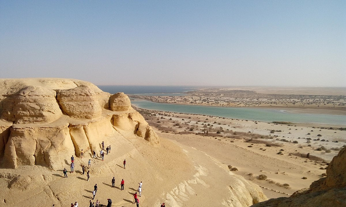 From Cairo: Private 6 - Days Three Oasis Adventure Fayoum, Bahariya, and Siwa Trip