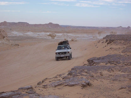 From Cairo: Private 6 - Days Three Oasis Adventure Fayoum, Bahariya, and Siwa Trip