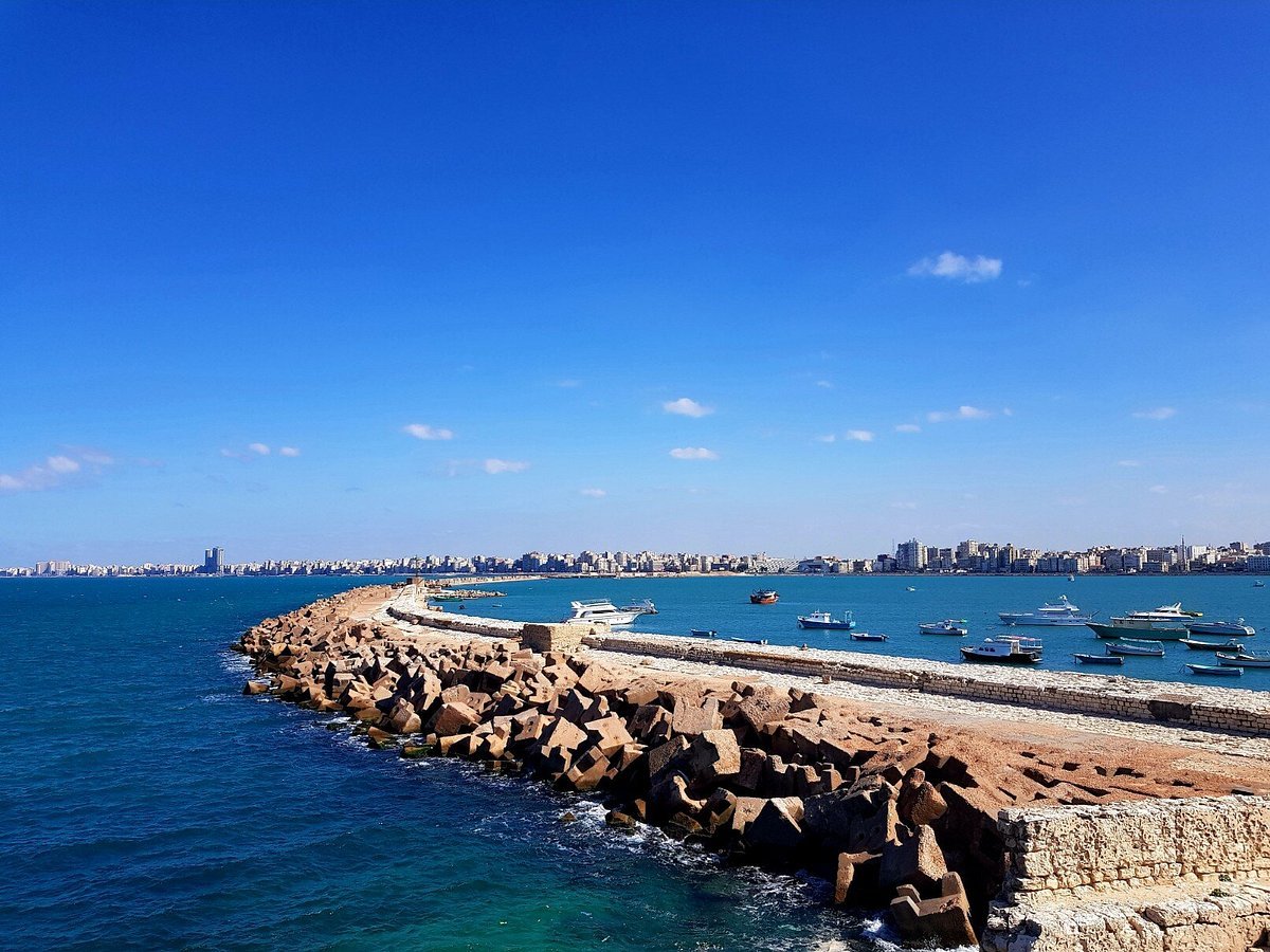 From Cairo: Private Day Tour to Alexandria with Roman Theatre, Pompey's Pillar and Seafood Lunch