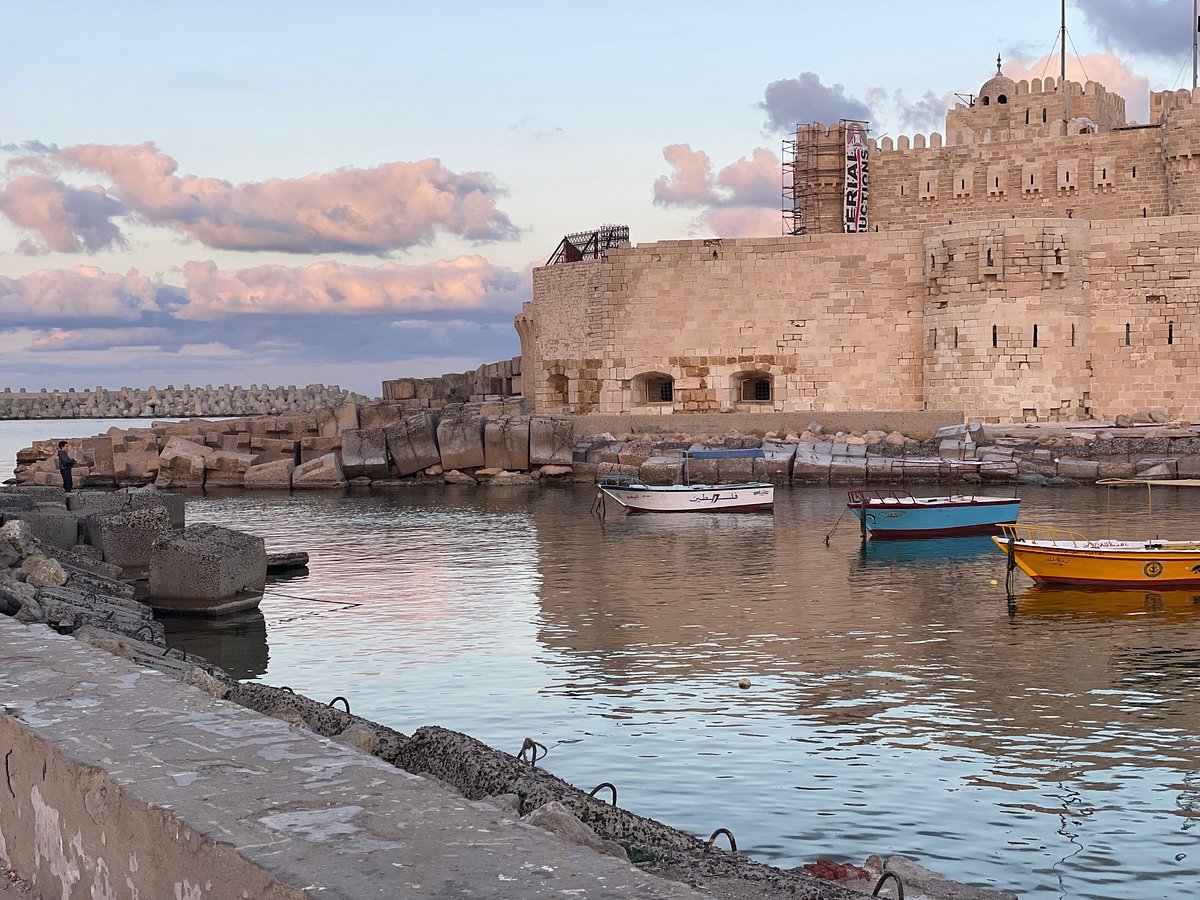 From Cairo: Private Day Tour to Alexandria with Roman Theatre, Pompey's Pillar and Seafood Lunch