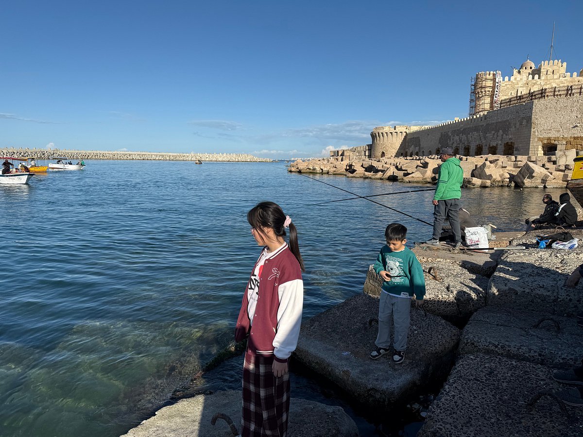 From Cairo: Private Day Tour to Alexandria with Roman Theatre, Pompey's Pillar and Seafood Lunch