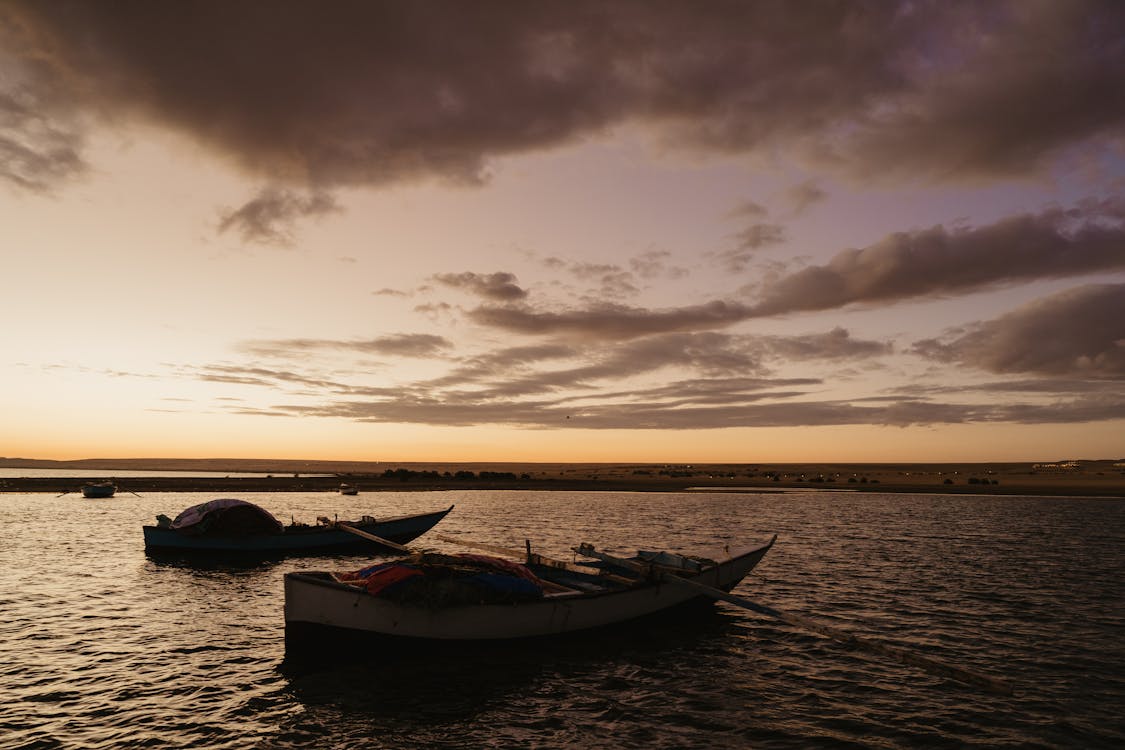 From Cairo: Private Guided Fayoum Oasis Day Tour with Desert Safari