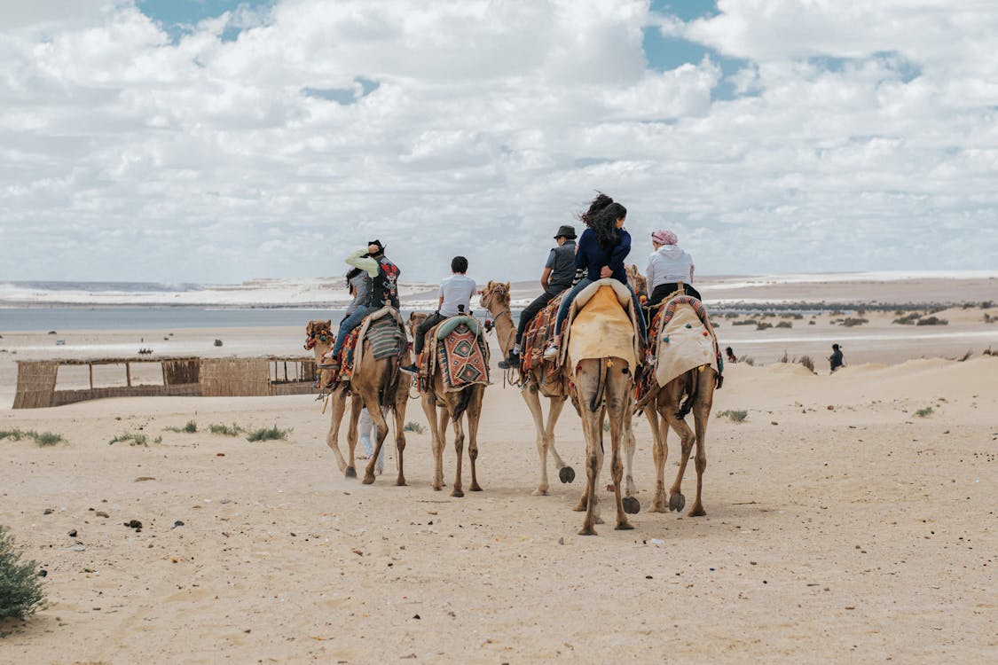 From Cairo: Private Guided Fayoum Oasis Day Tour with Desert Safari