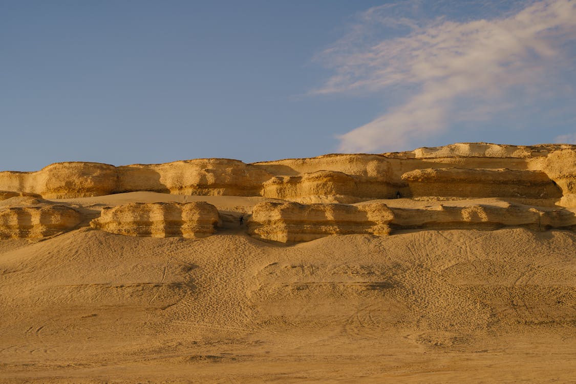 From Cairo: Private Guided Fayoum Oasis Day Tour with Desert Safari