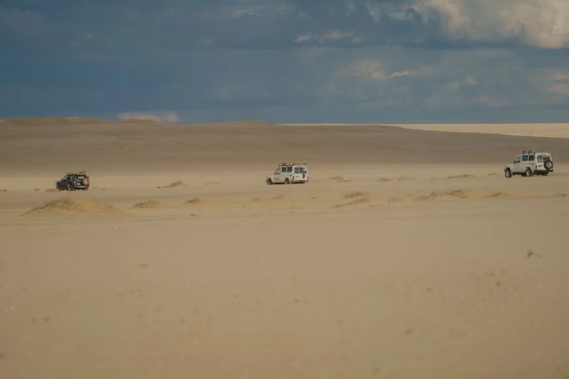 From Cairo: Private Guided Fayoum Oasis Day Tour with Desert Safari