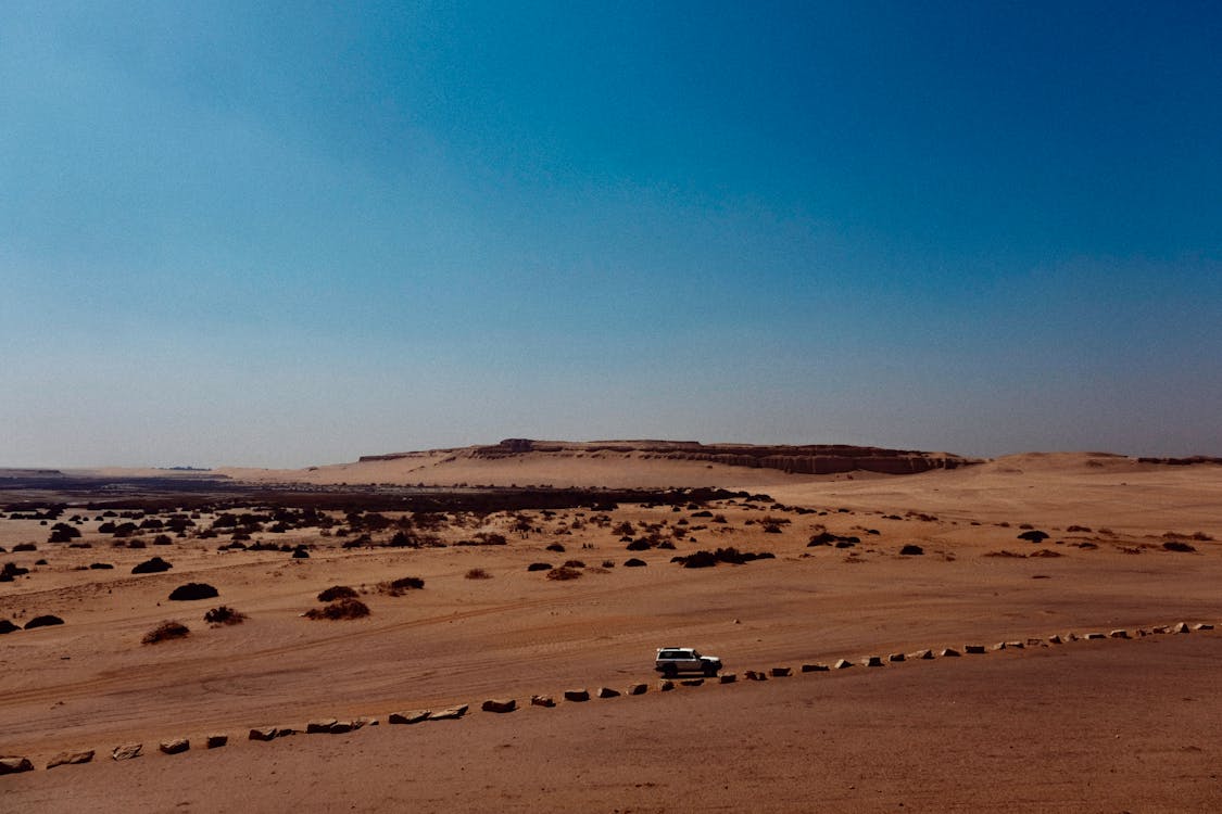 From Cairo: Private Guided Fayoum Oasis Day Tour with Desert Safari