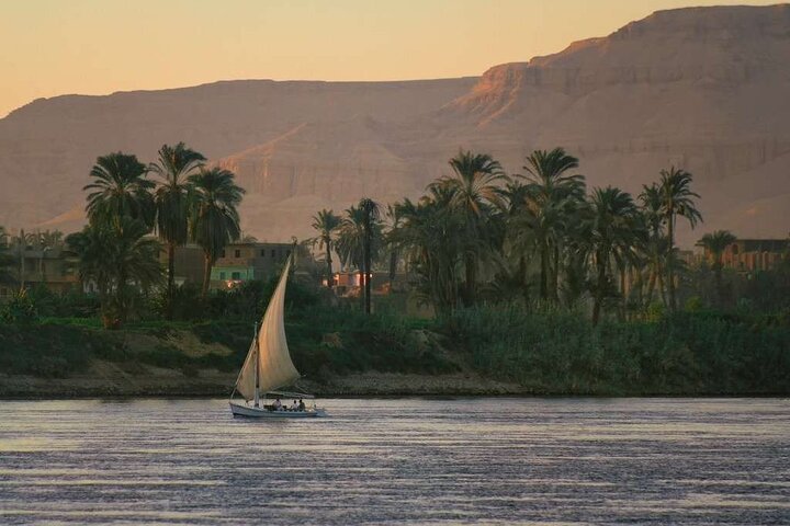 From Cairo: Private Guided Luxor Day Tour by Plane