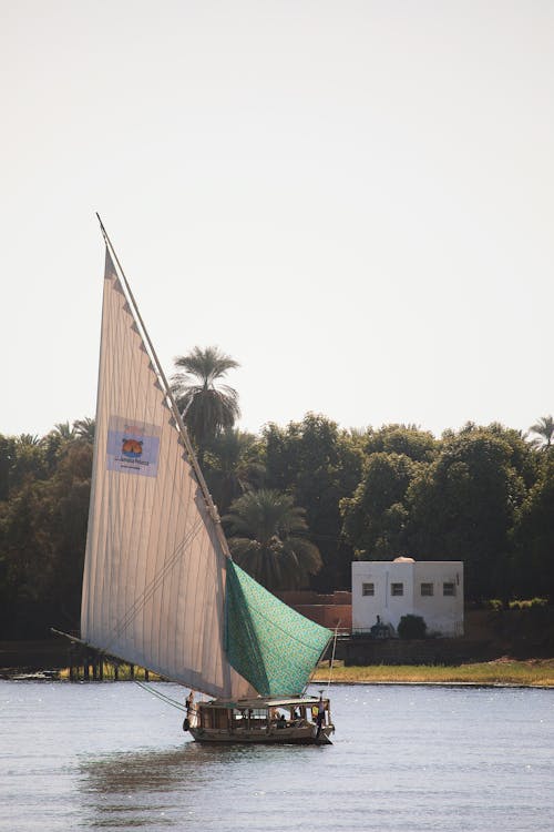 From Cairo: Private Guided Luxor Day Tour by Plane