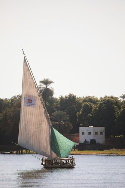 From Cairo: Private Guided Luxor Day Tour by Plane