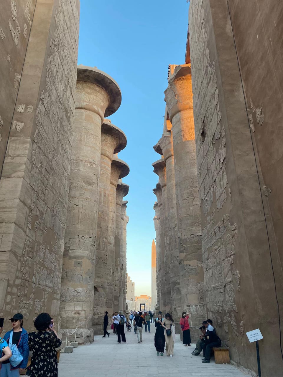 From Cairo: Private Guided Luxor Day Tour by Plane
