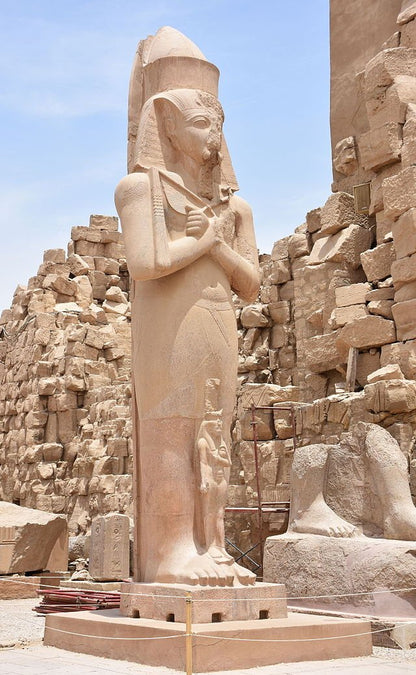From Cairo: Private Guided Luxor Day Tour by Plane