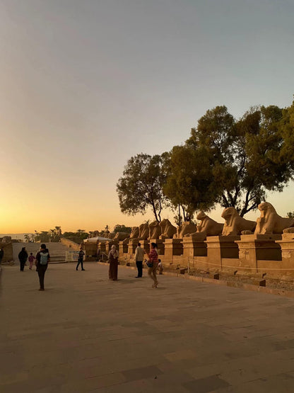 From Cairo: Private Guided Luxor Day Tour by Plane
