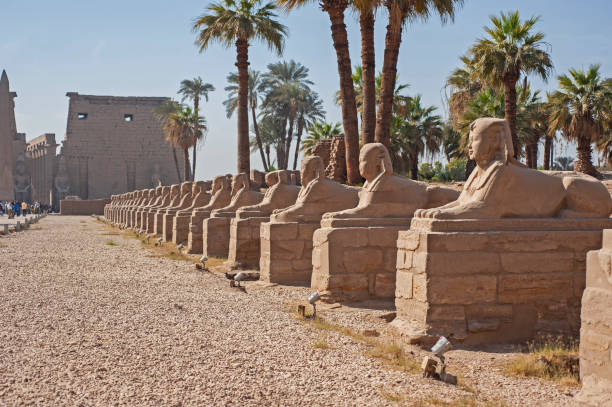 From Cairo: Private Guided Luxor Day Tour by Plane